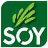Soy Soy
